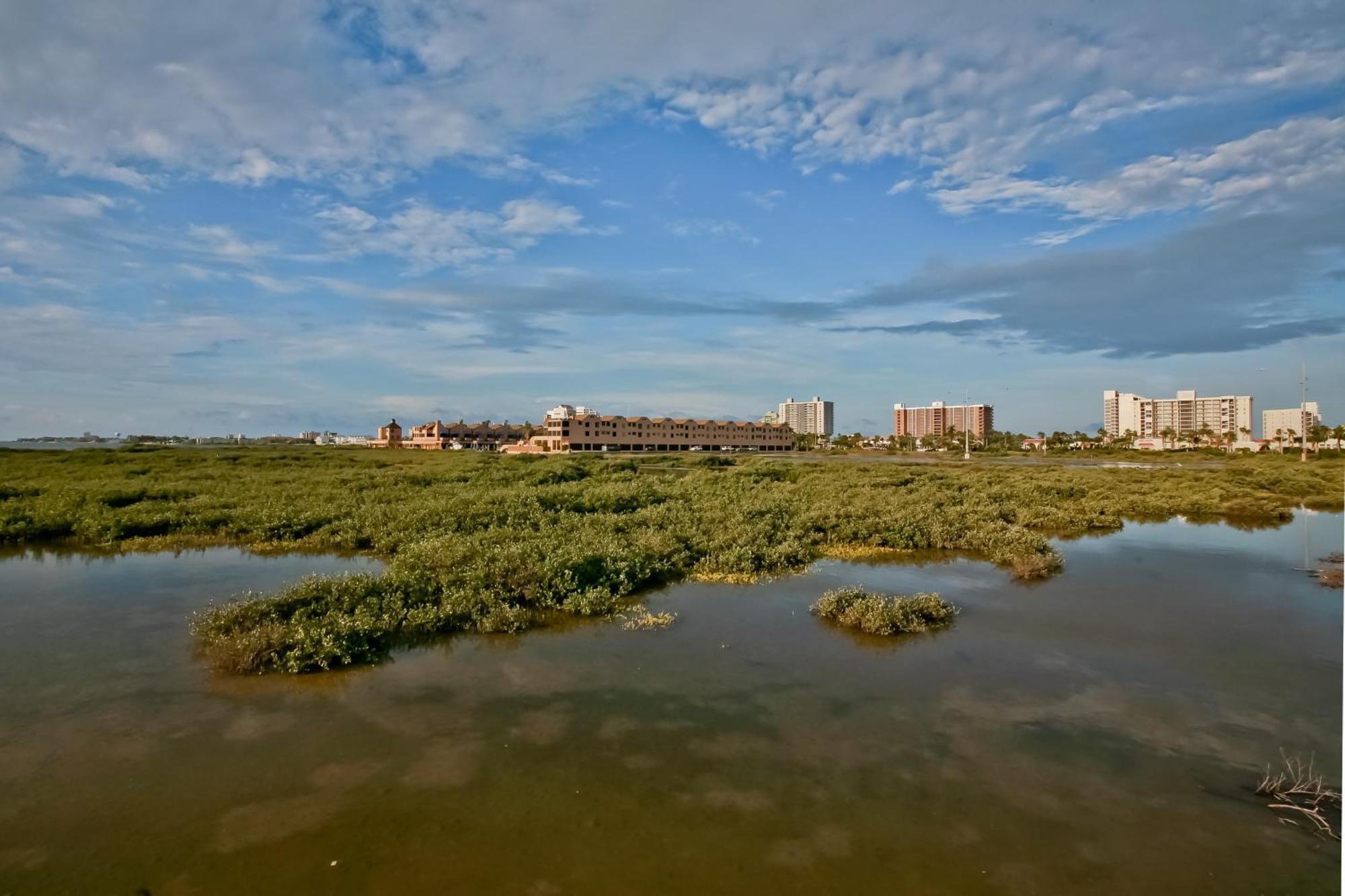 Suntide III Condominiums South Padre Island Δωμάτιο φωτογραφία